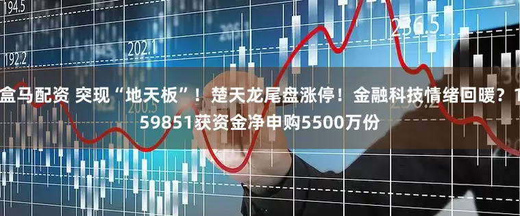 盒马配资 突现“地天板”！楚天龙尾盘涨停！金融科技情绪回暖？159851获资金净申购5500万份