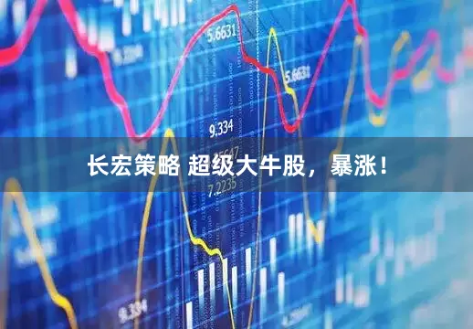 长宏策略 超级大牛股，暴涨！
