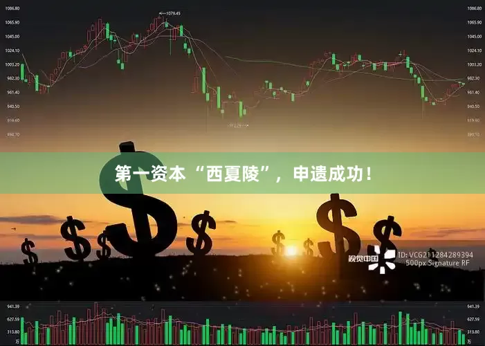 第一资本 “西夏陵”，申遗成功！