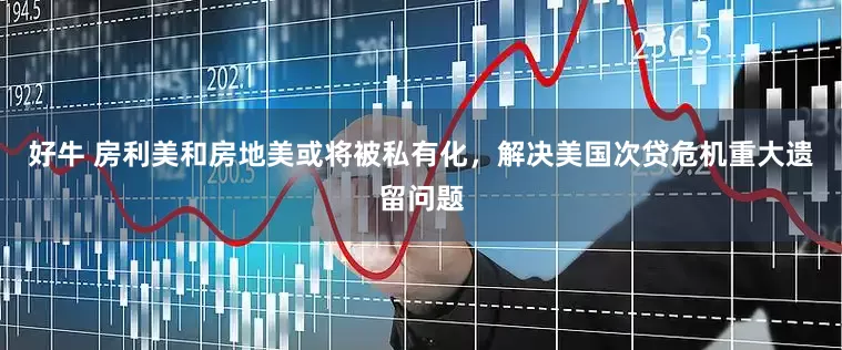 好牛 房利美和房地美或将被私有化，解决美国次贷危机重大遗留问题