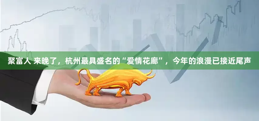 聚富人 来晚了，杭州最具盛名的“爱情花廊”，今年的浪漫已接近尾声