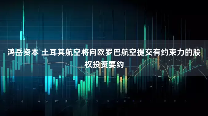 鸿岳资本 土耳其航空将向欧罗巴航空提交有约束力的股权投资要约
