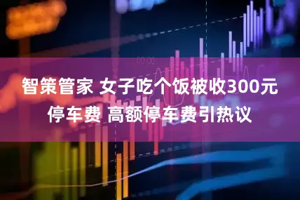 智策管家 女子吃个饭被收300元停车费 高额停车费引热议